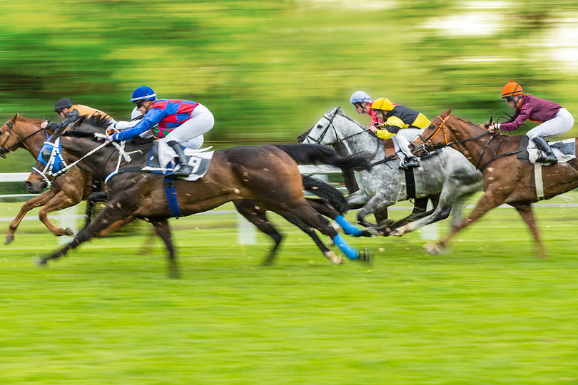 Horses Racing Against Blurred Background
