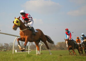 Horse Leading National Hunt Race
