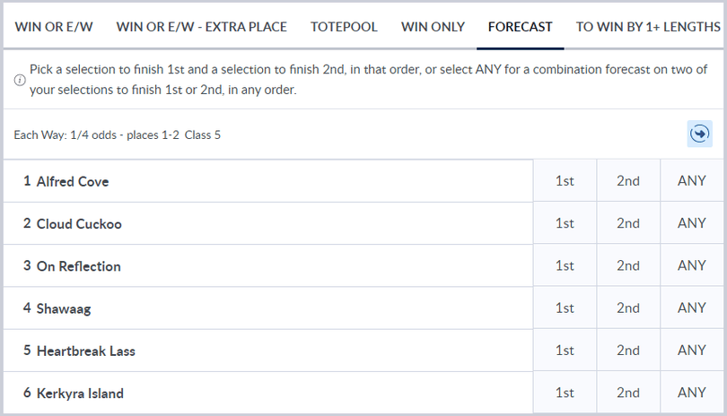 Coral Race Forecast Betting