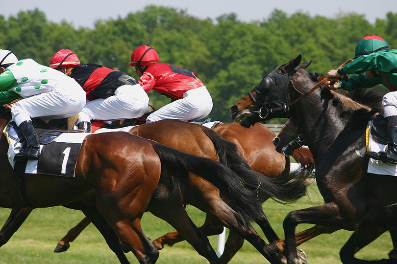 Packed Field of Horses During Race